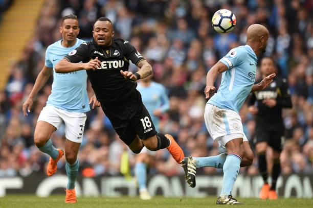 的培养是保 的培养是保